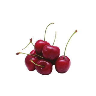 Phasellus molestie id mi sit amet